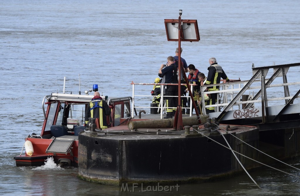 Schiff 1 Koeln in Hoehe der Koelner Zoobruecke P156.JPG - Miklos Laubert